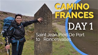 Camino Frances Day 1 Saint Jean Pied De Port to Roncesvalles [upl. by Aicatan879]