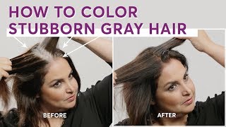 How to Color Stubborn Gray Hair [upl. by Breeze769]