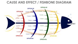 Fishbone diagram slide in PowerPoint [upl. by Aneala]