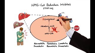 Pharmacology  DRUGS FOR HYPERLIPIDEMIA MADE EASY [upl. by Ingamar]