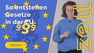 So entstehen Gesetze in der Europäischen Union [upl. by Fisk]