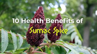 10 Health Benefits of Sumac Spice [upl. by Gibson]