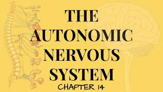 Chapter 14 The Autonomic Nervous System FULL Lecture [upl. by Akemehc159]