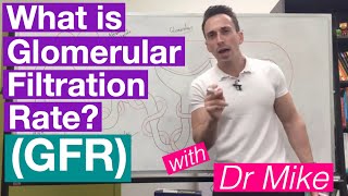 Glomerular Filtration Rate GFR  Renal System [upl. by Delbert]