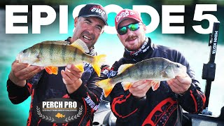 PERCH PRO 6  Episode 5 [upl. by Hoeve]