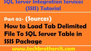 SSIS Tutorial Part 02 How to Load Tab Delimited File To SQL Server Table in SSIS Package [upl. by Lisandra]