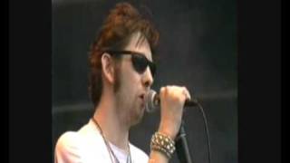 Cracklin Rosie  Shane Macgowan and the Popes  Pinkpop 1995 [upl. by Tore227]