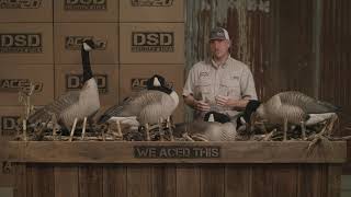 DSD Giant Decoys  Product Highlights [upl. by Parik]