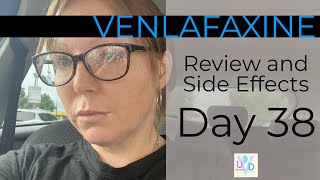 Venlafaxine Review and Side Effects Day 38 [upl. by Hcab]