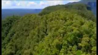 Expedition Borneo Episode 1 Documentary [upl. by Leonerd]