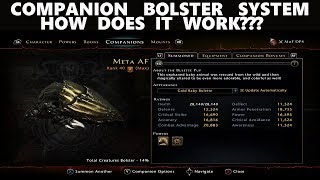 Neverwinter  Companion Bolster System Explained [upl. by Igic]