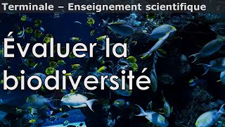 Évaluer la biodiversité  Enseignement scientifique  Terminale [upl. by Enoid406]