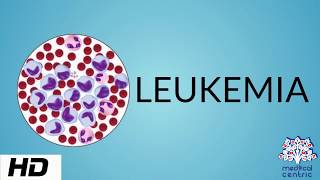 LEUKEMIA Causes Signs and Symptoms Diagnosis and Treatment [upl. by Hayarahs]