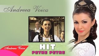 Andreea Voica  Petre Petre HIT Oficial [upl. by Silado]