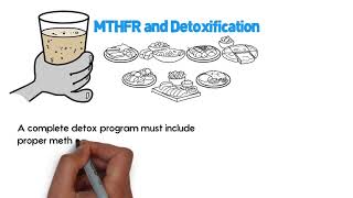 What is MTHFR MTHFR Mutation Explained  MethyleneTetraHydroFolate Reductase [upl. by Oisor]