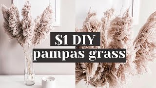 Easy DIY String Pampas Grass from Dollar Tree Materials [upl. by Fritzsche]