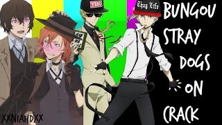 Bungou Stray Dogs 「 ON CRACK 」 [upl. by Sekoorb]