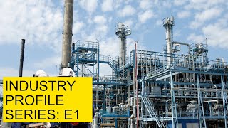 The Petrochemical Industry  Industry Profile Series  E1 [upl. by Einnek]