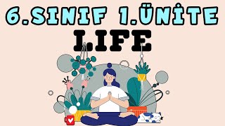 6SINIF İNGİLİZCE 1ÜNİTE KONU ANLATIMI  LIFE [upl. by Bobbie91]