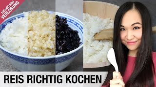 Reis richtig kochen im Topf und Reiskocher  Reissorten  100000 Abonnenten Special [upl. by Eidolem]