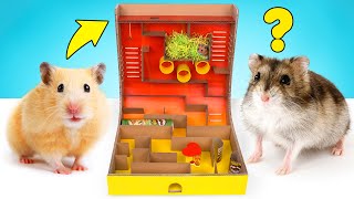 DIY Hamster Maze With Pringles Can And Spinner Obstacles [upl. by Akelam]