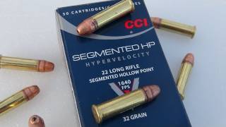 22 LR CCI Segmented HP Ammo Test [upl. by Hsepid]