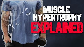 Muscle Hypertrophy Explained How to get MASSIVE Gains [upl. by Kalindi976]