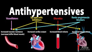 Antihypertensive Medications  Pharmacology Animation [upl. by Joelie985]