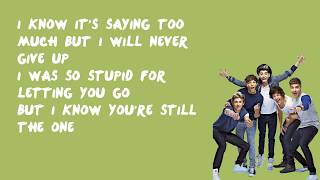 Still The One  One Direction Lyrics [upl. by Severin]