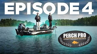 PERCH PRO 6  Episode 4 [upl. by Edroi]