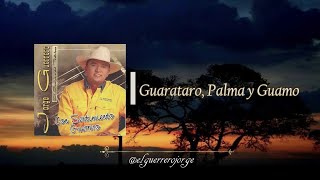 Jorge Guerrero  Guarataro Palma y Guamo [upl. by Ahsitil]