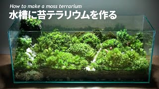 【苔テラリウム】水槽に小さな緑を作る Moss Terrarium [upl. by Doowron]