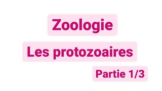 Zoologie L2  les protozoaires SNV [upl. by Notrom]