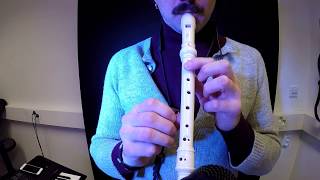 How to play Titanic on flute  recorder [upl. by Anairuy]