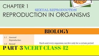 Part3 REPRODUCTION IN ORGANISMS chapter1 NCERT class 12th biology [upl. by Banquer]