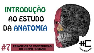 PRINCÍPIOS DE CONSTRUÇÃO DO CORPO HUMANO [upl. by Ehcropal]