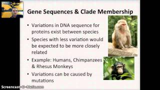 IB 54  Cladograms [upl. by Elrak]