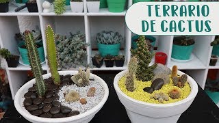 Cómo hacer un terrario con cactus│Candy Bu [upl. by Annoved]