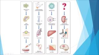 Pathology  Introduction and disease nomenclature [upl. by Ordnassela735]