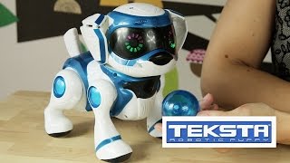 Teksta Robotic Puppy  Teksta Piesek Interaktywny [upl. by Tronna]