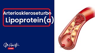 Lipoproteina  Turbo der Gefäßverkalkung Arteriosklerose  DrHeart [upl. by Gaspar]