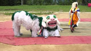 Jhamtse Gatsal  Dalai Lama Birthday  Lion Dance [upl. by Ain495]