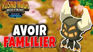 Comment Avoir Familier BUDSHU sur Dofus Retro Temporis 3 [upl. by Dale]