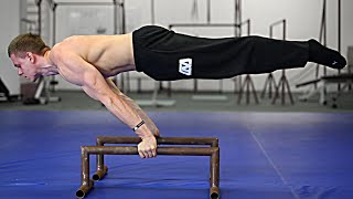 How To Planche  Beginner Tutorial [upl. by Cristal]