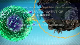 Acute leukemia  Hematologic System Diseases  NCLEXRN  Khan Academy [upl. by Lali]