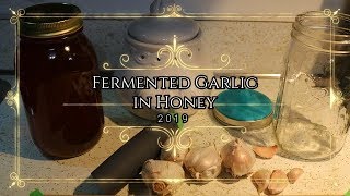 Fermented Garlic in Honey [upl. by Hsotnas512]