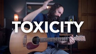 Toxicity  SYSTEM OF A DOWN  Acoustic Guitar Cover [upl. by Wappes]