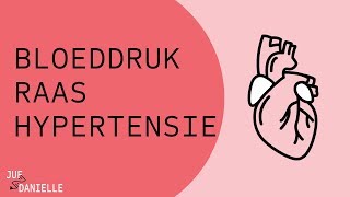 Bloeddruk RAAS en hypertensie [upl. by Heida]