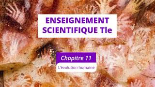 L’évolution humaine Enseignement scientifique Tle [upl. by Irod]