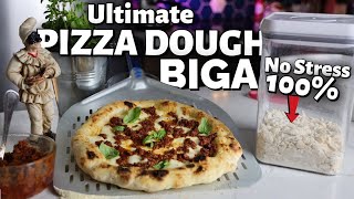 How to Make Perfect Biga No Stress Pizza Dough at Home 100 [upl. by Learsi]